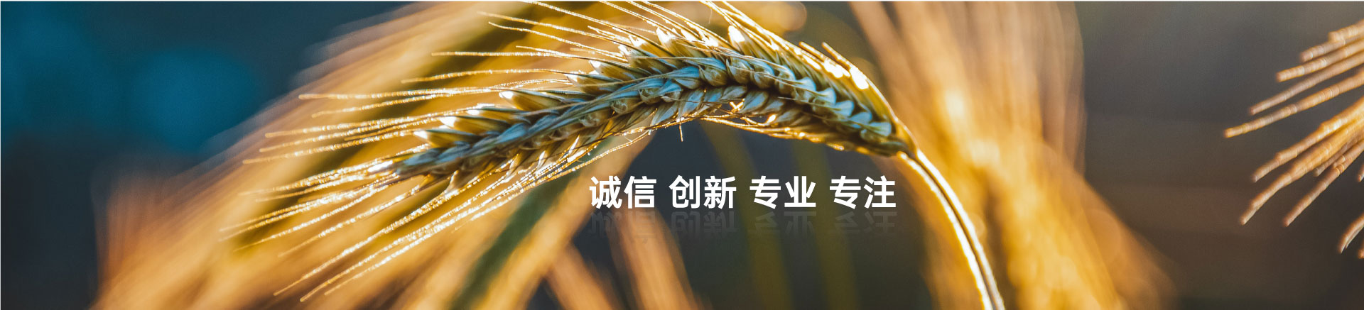 顧客至上，信譽第一